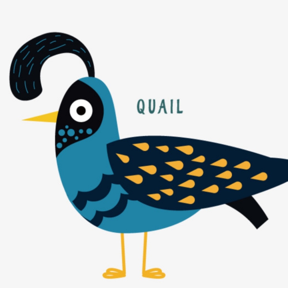 Meet your Posher, Joey